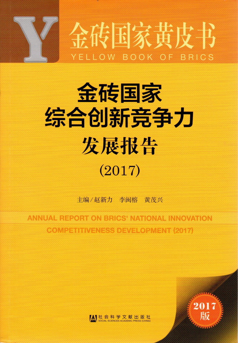 逼爽网金砖国家综合创新竞争力发展报告（2017）